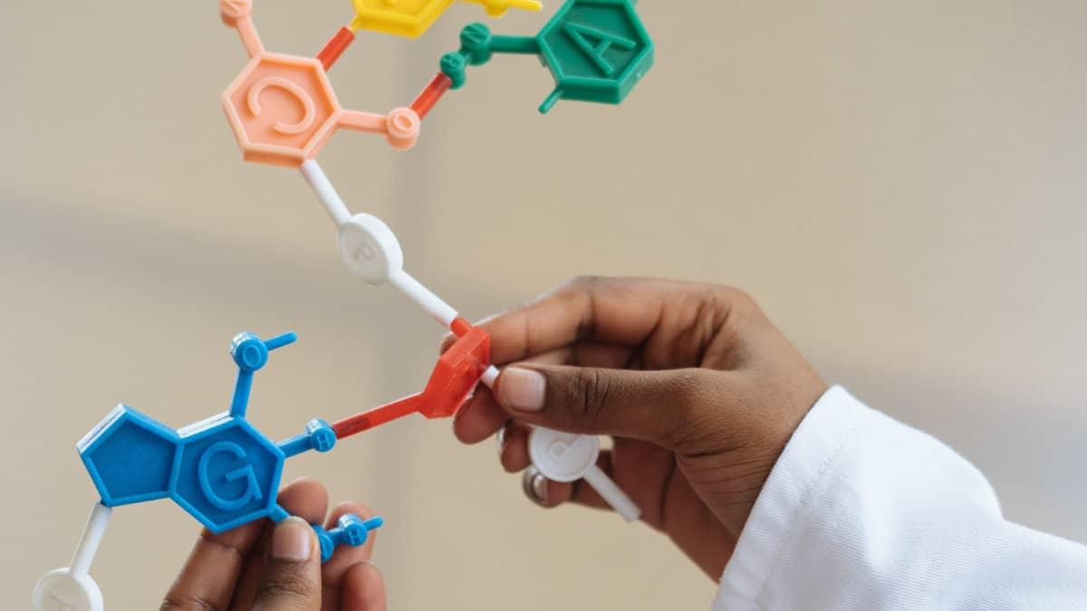 Curabitur iaculis lorem libero at ultricies tellus hendrerit